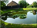 Pink lilies and duck house on Wisborough Green