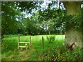 Footpath approaching Wisborough Green from the east