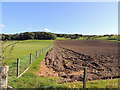 Farmland at Kinniegar