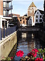 Hogsmill River, Central Kingston