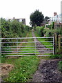 Path up to Minge Lane from the Ham