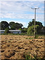 Electricity wires across the hay field