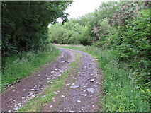 W5677 : Farm track near Loughane east by David Hawgood