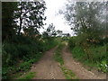 Enfield Farm from the footpath