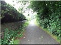 Bridleway - viewed from Healey Avenue