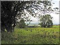 Farm building, Glasmullagh