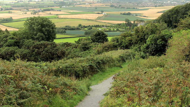 Path, Scrabo, Newtownards (1) © Albert Bridge :: Geograph Ireland