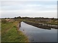 N1321 : Macartny's Aqueduct on the Grand Canal in Derrycarney, Co. Offaly by JP