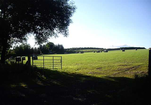 A field with hay bales