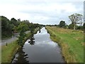 N0520 : Grand Canal from L'estrange Bridge in Clonony, Co. Offaly by JP