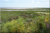 TR3462 : View across the mouth of the Stour by Bill Boaden