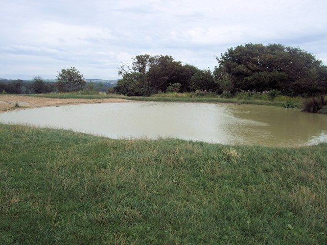 Hollingbury Dew Pond