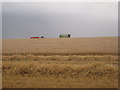 TF2677 : Harvesting until the last minute near Woldale Farm by Jonathan Thacker