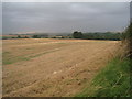 View towards Goulceby under a threatening sky