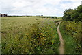 The coastal path at Cliffs End