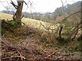 Towards Rollestone Farm