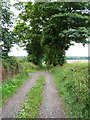 The byway from Church Aston to Longford Bottoms