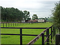 Horse pastures at Sunnyholme Farm