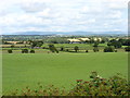 Fields at Monkhouse Hill Farm