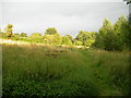 Woodland and open land off Bottlescrew Hill