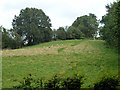 Steep field near Stream Lane