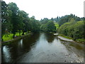 The Severn at Llanidloes