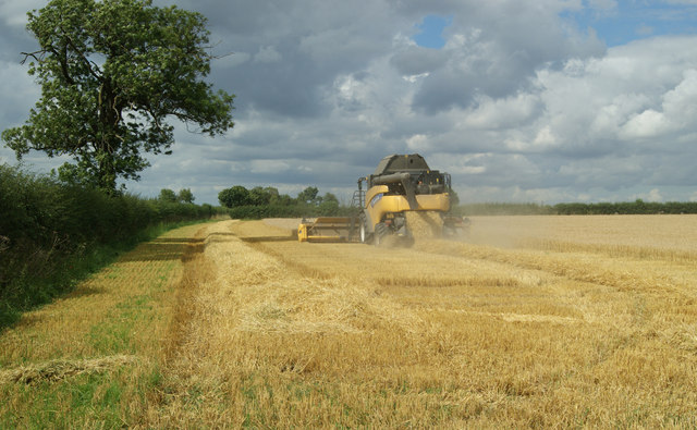 Combining on Saxby Wolds