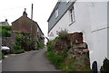 Narrow lane in Slapton