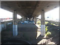 Beneath the A40 flyover at White City