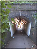 TQ2281 : Subway under the railway by Rod Allday