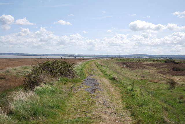 Saxon Shore Way by The Swale