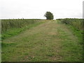 Farm track near Brackens Farm