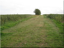 TF2983 : Farm track near Brackens Farm by Jonathan Thacker