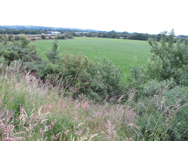 Field at Curraheen