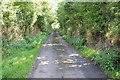 Country road at Eldersfield