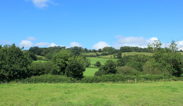 2012 : White Hill near Hinton Blewett