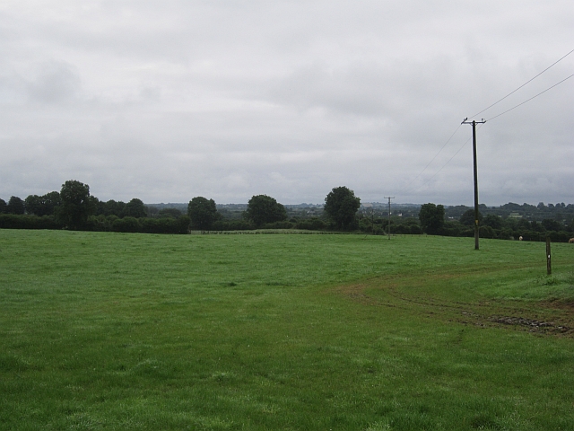 Grass field, Brackagh