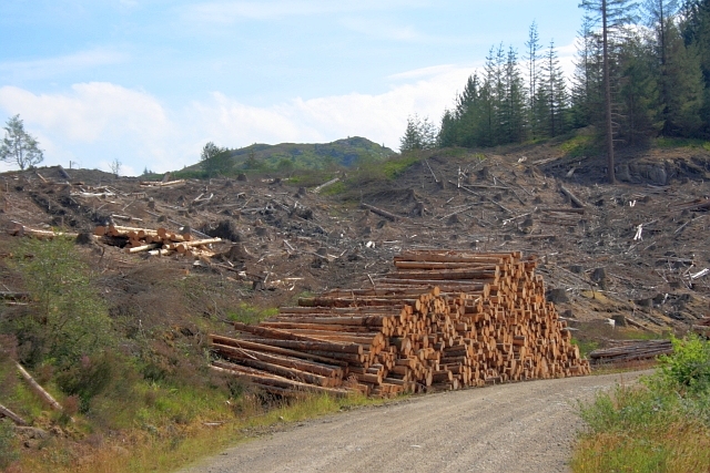 Timber Extraction © Mick Garratt Geograph Britain And Ireland