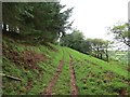 Llwybr ceffyl Pentrebach / Pentrebach bridleway