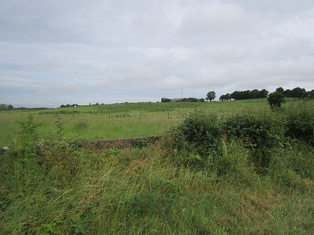 Co, Longford's grass © Richard Webb :: Geograph Ireland