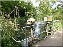 SZ1393 : Iford, sluice by Mike Faherty