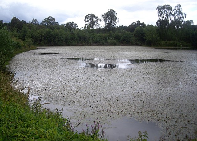 The larger fish pond at Mill of Dess