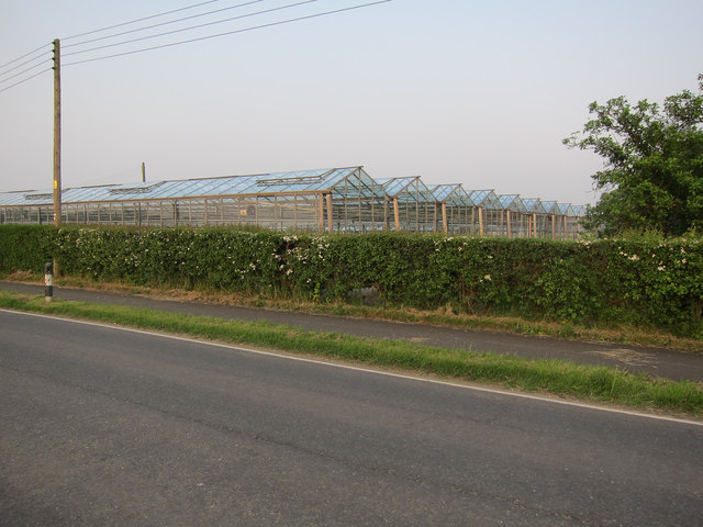 Old greenhouse, Fen Drayton