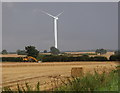 Wheat field and wind turbine