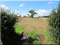 Another Field beside the A61