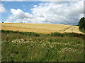 Fields at Gourdiehill