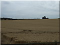 Farmland off Throcking Lane