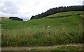 View up Ardhuncart Hill