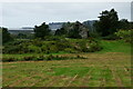 View Towards the old Barn