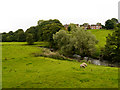 River Darwen